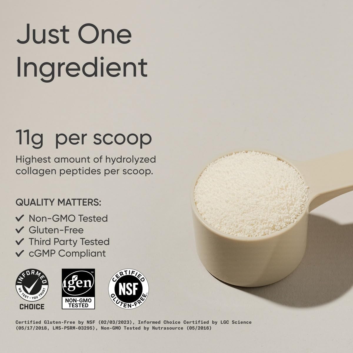 Sports Research Collagen Peptides Protein Powder 454g (Unflavored) | 11g Grass-Fed Collagen per Scoop · Hair, Skin & Joint Support · Easy to Mix in Coffee & Shakes - 41 Servings