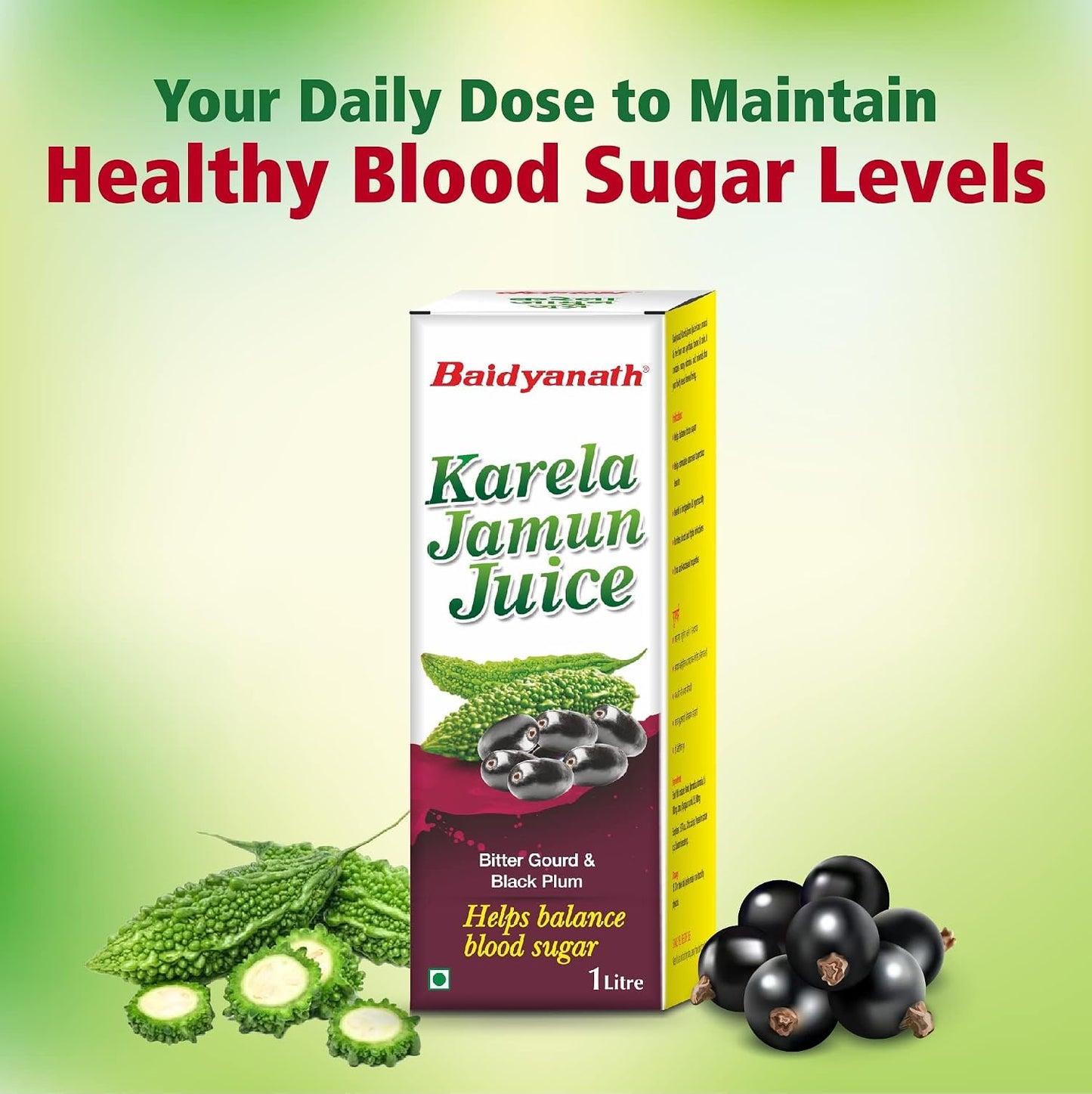 Baidyanath Ayurved Karela Jamun Juice 1L | Natural Remedy For Blood Sugar Management | Helps in Reducing the Bad Cholesterol Levels & Improves overall Health and Wellness