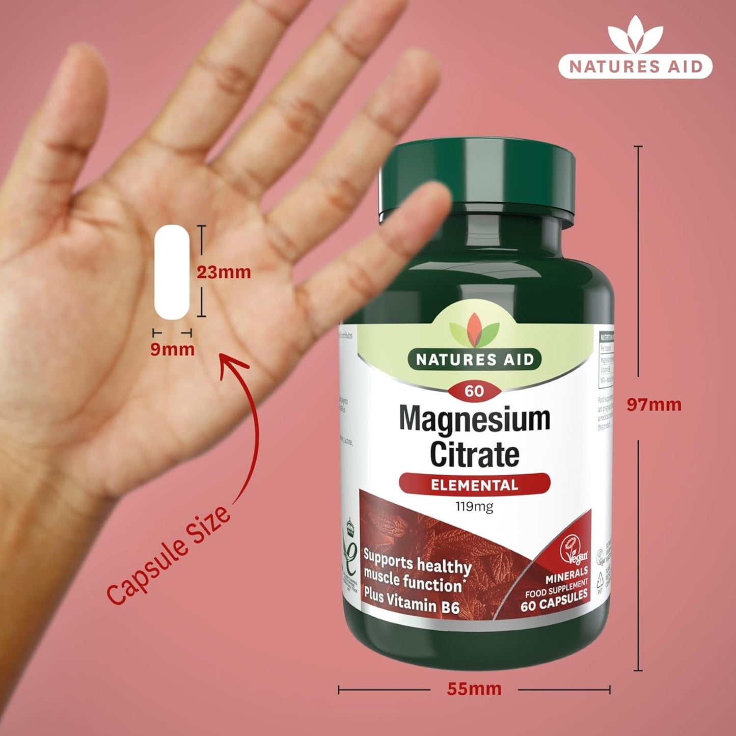 Natures Aid Magnesium Citrate 750mg with Vitamin B6 – 60 Capsules | High Absorption Vegan Formula, Supports Muscle, Nerve & Bone Health and Stress Relief, Non-GMO