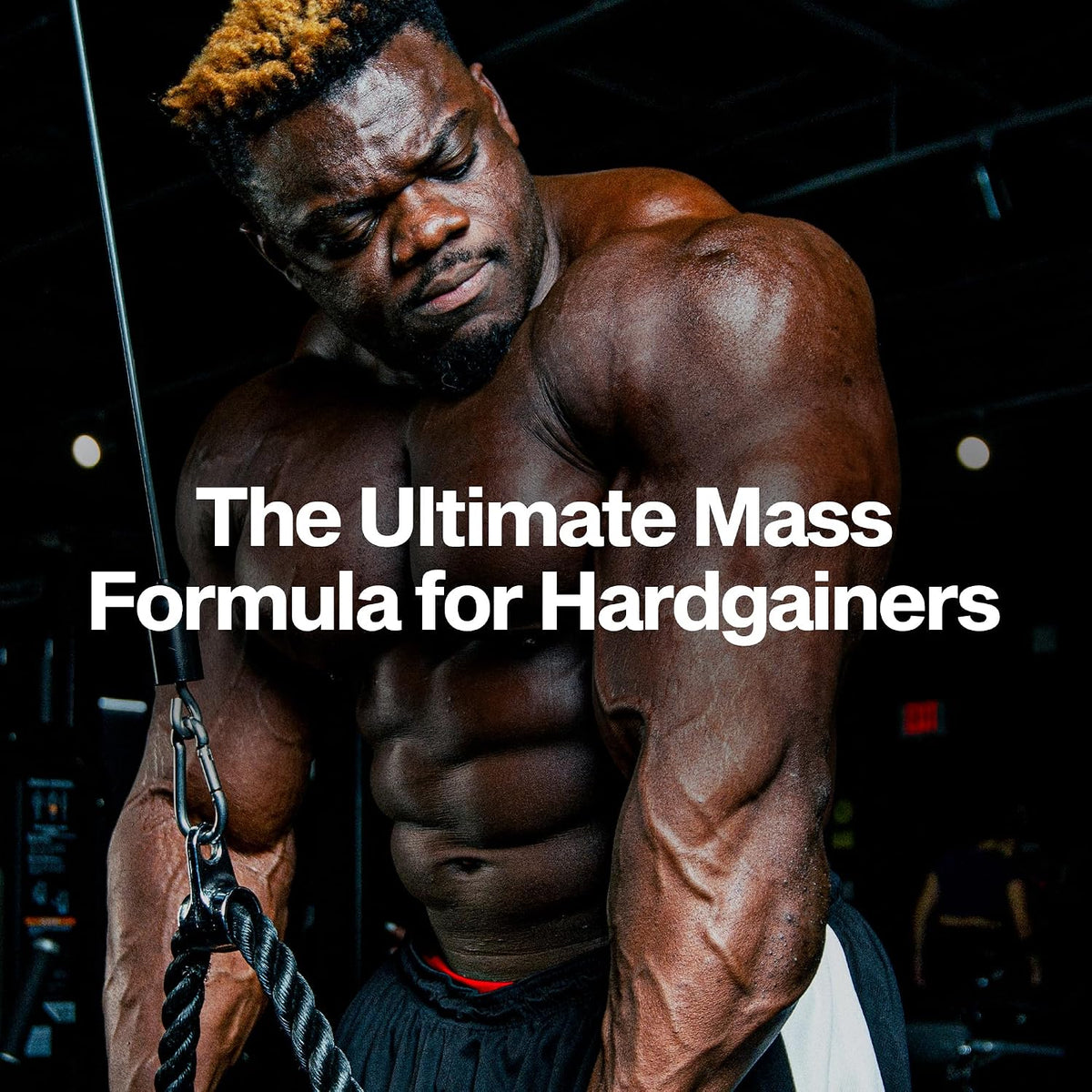 MuscleTech High-Protein Mass Gainer - Vanilla Milkshake, 6LB | Mass Tech Extreme 2000 Weight Gainer Protein Powder for Increased Muscle, Enhanced Recovery & Strength