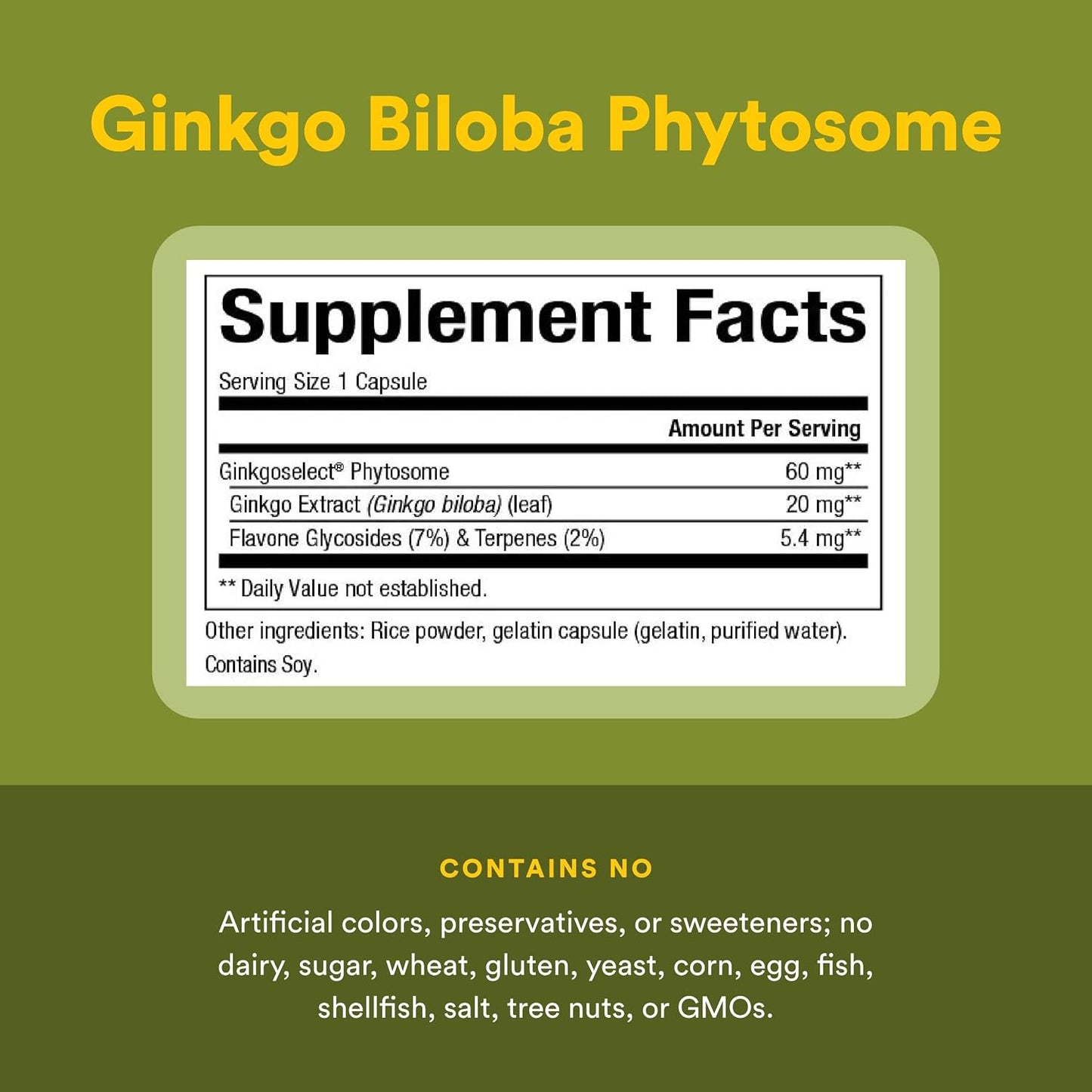 Natural Factors, Ginkgo Biloba Phytosome, Supports Circulation and Brain Health, 60 capsules (60 servings)