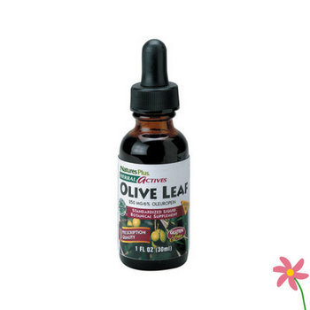 NaturesPlus Herbal Actives Olive Leaf 30ml