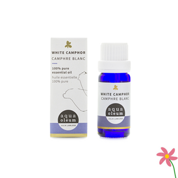 Aqua Oleum Camphor Oil 10ml